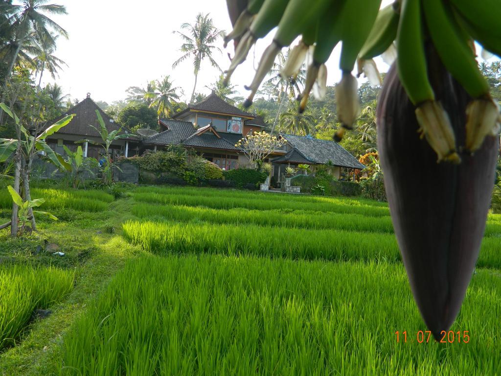 Dau Homestay Karangasem Exterior foto